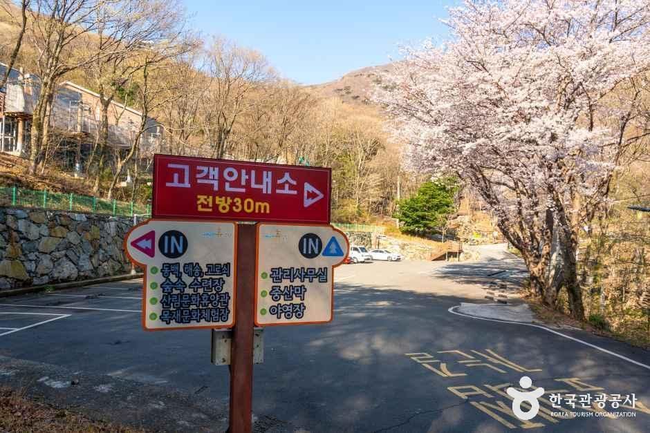 거제자연휴양림