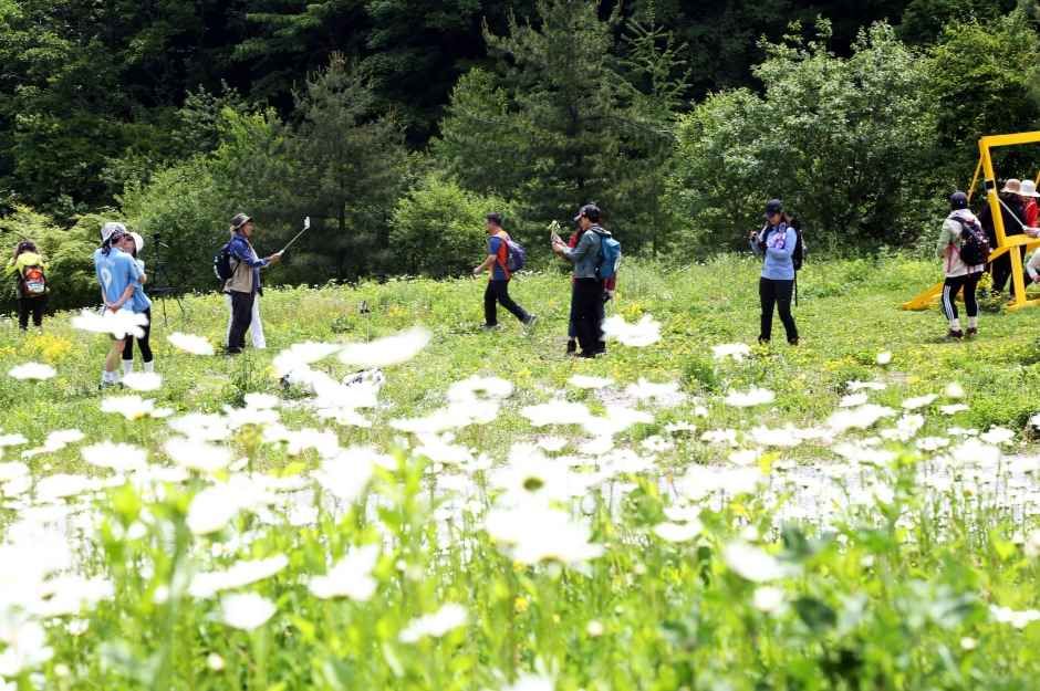 제12회 하늘숲길 걷기축제