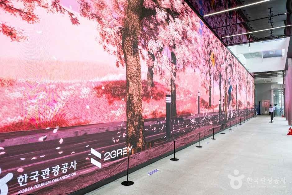 서울_종로_하이커그라운드_내부_1.jpg