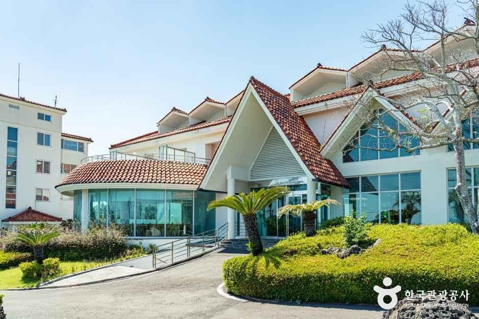 씨오르리조트 사진 5