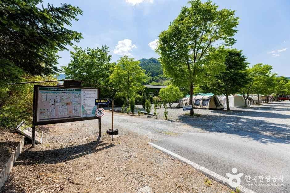 제천패밀리오토캠핑장