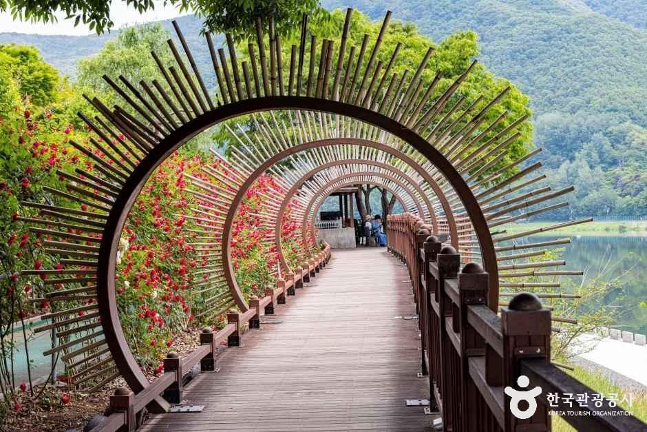 소금정공원 장미터널