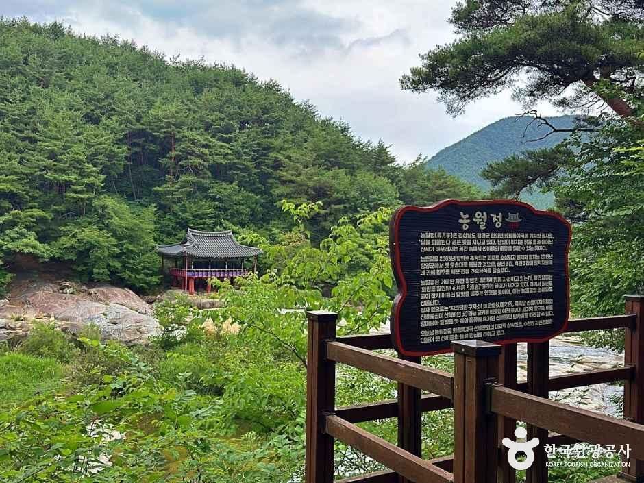 농월정 국민관광지
