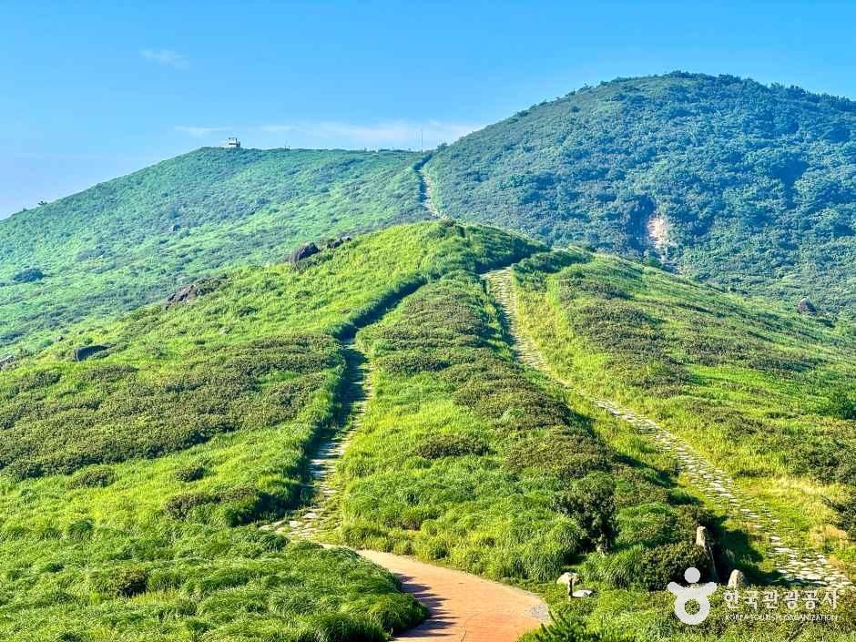 황매산(산청)