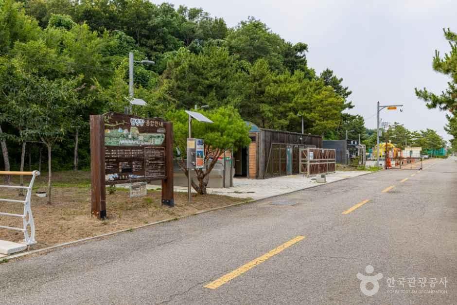 영종씨사이드캠핑장
