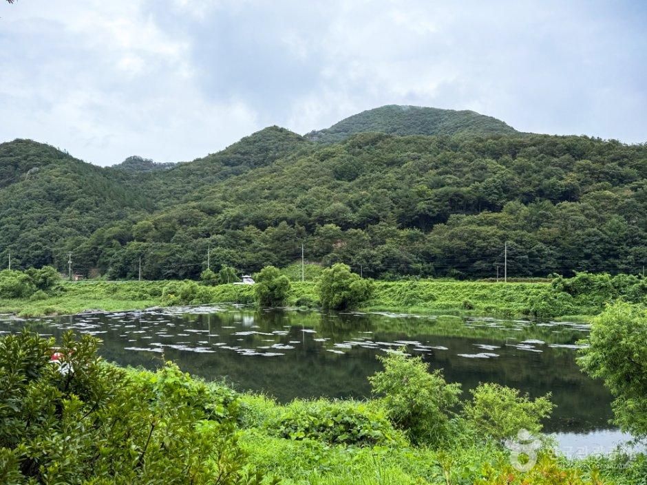 추령천
