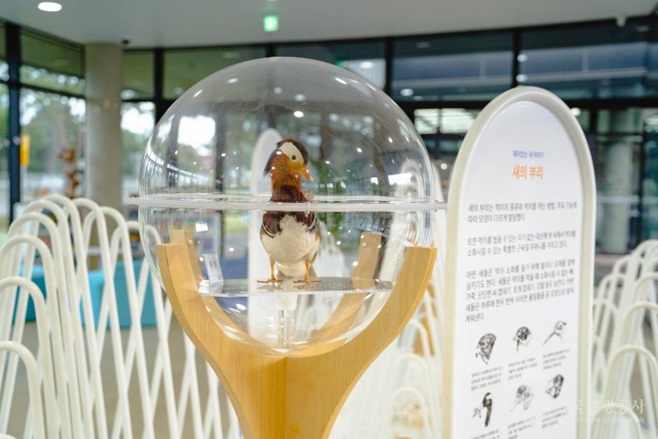송지호비지터센터