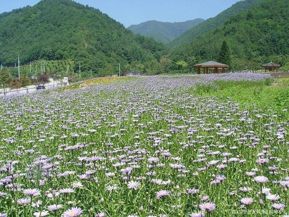 일월산