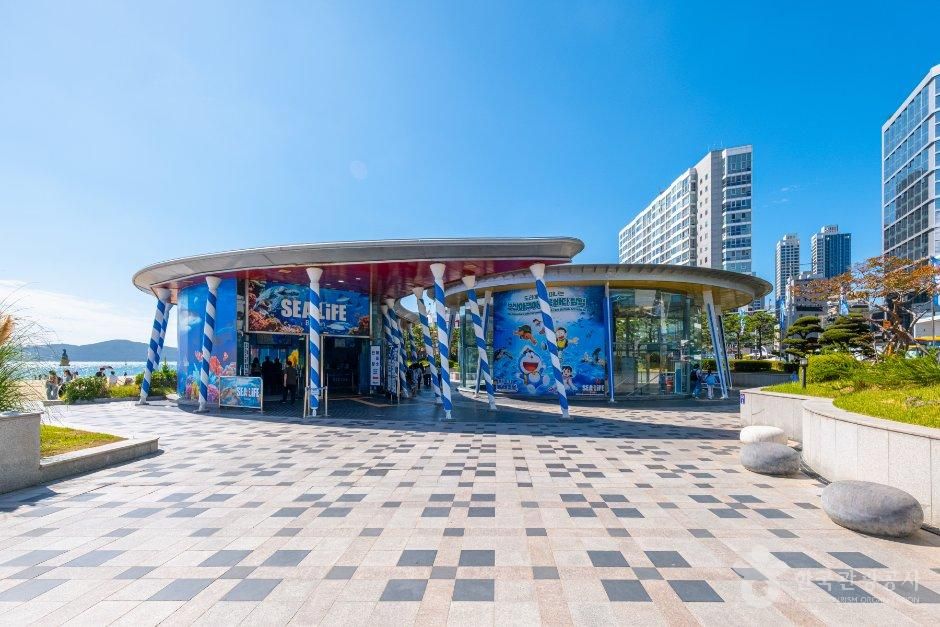 SEA LIFE 釜山水族馆