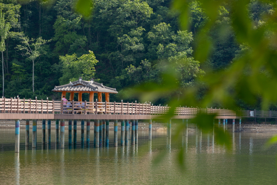 五峰貯水池 (金泉)