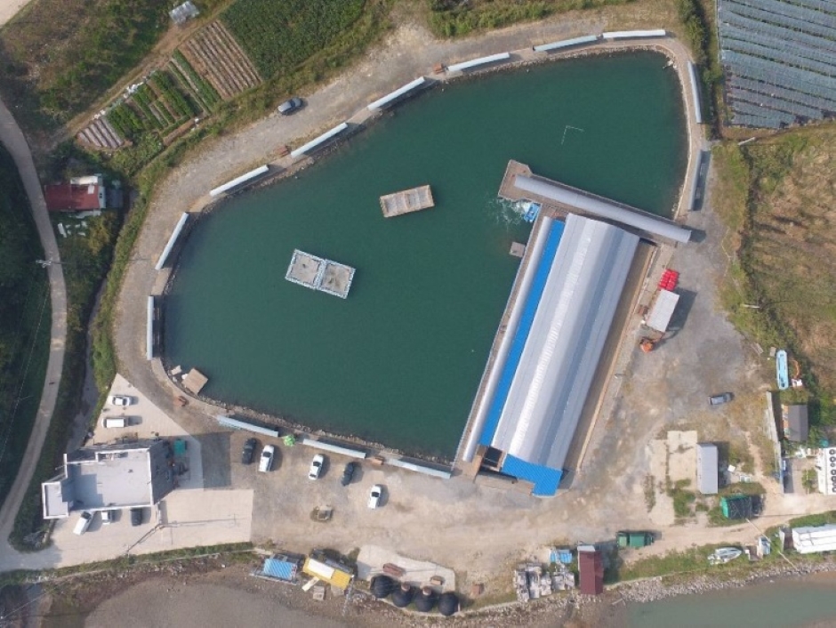 御心海釣り場