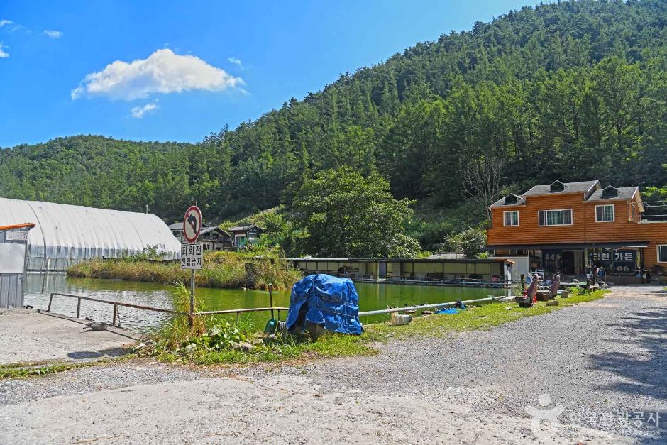 金川釣り場