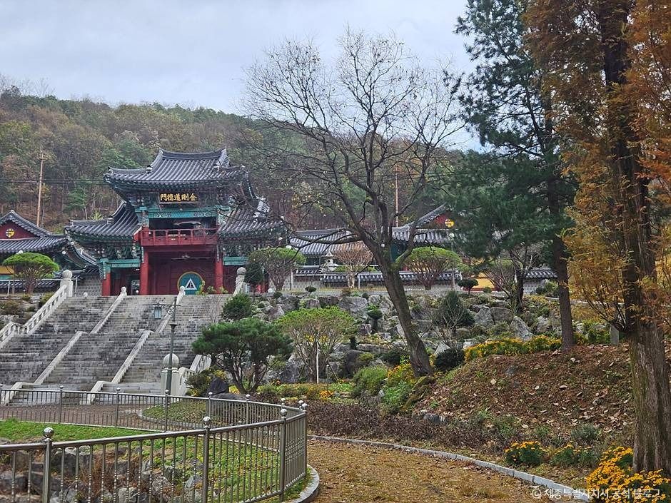 금강대도
