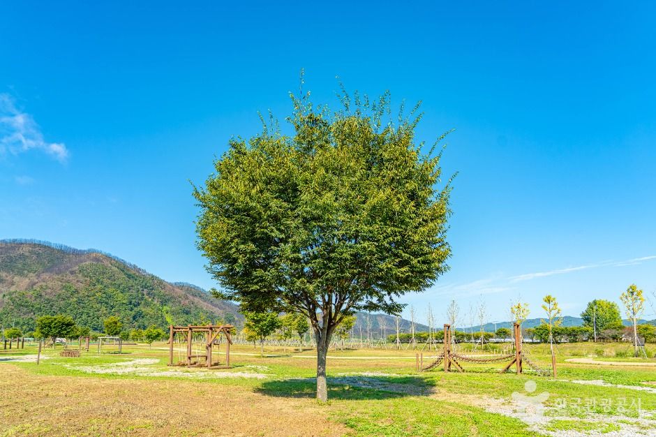 琴所生態公園