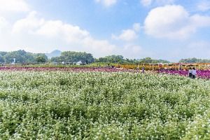 양주_나리농원 (5) 미리보기