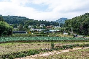 서산 꽃송아리마을 사진 2