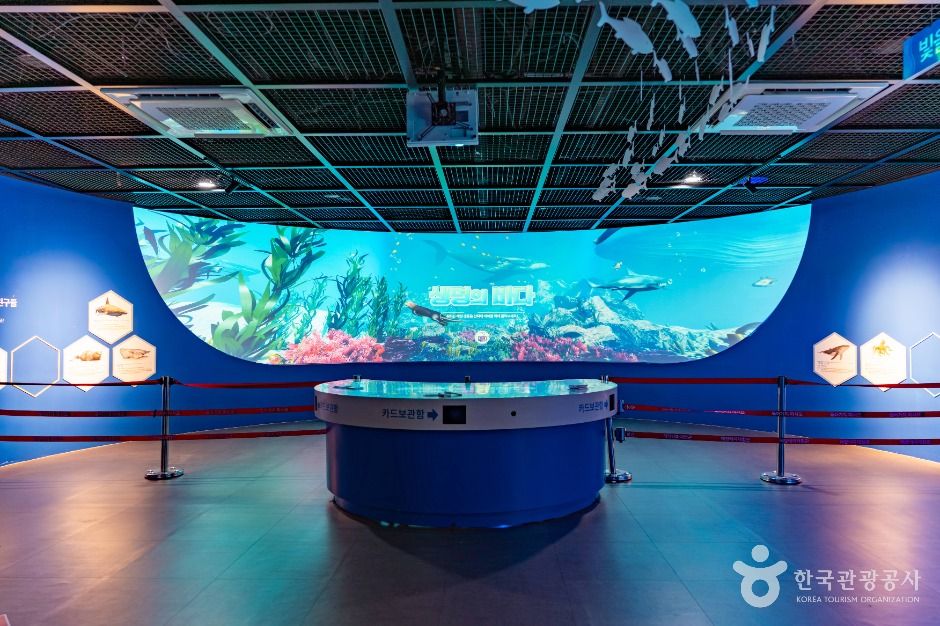 Marine Theme Experience Center (Dangjin)