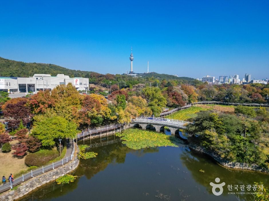 聖堂の池