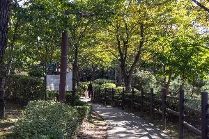 서울_궁동저수지 생태공원 (5)