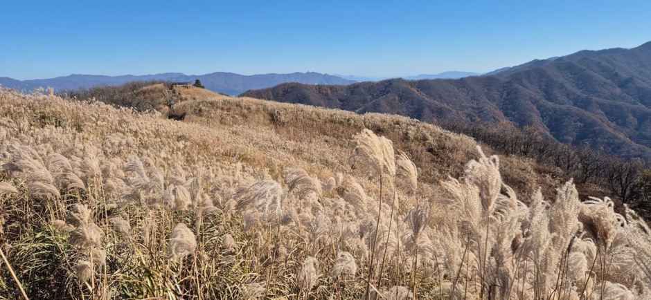 장수_장안산군립공원 (1).jpg