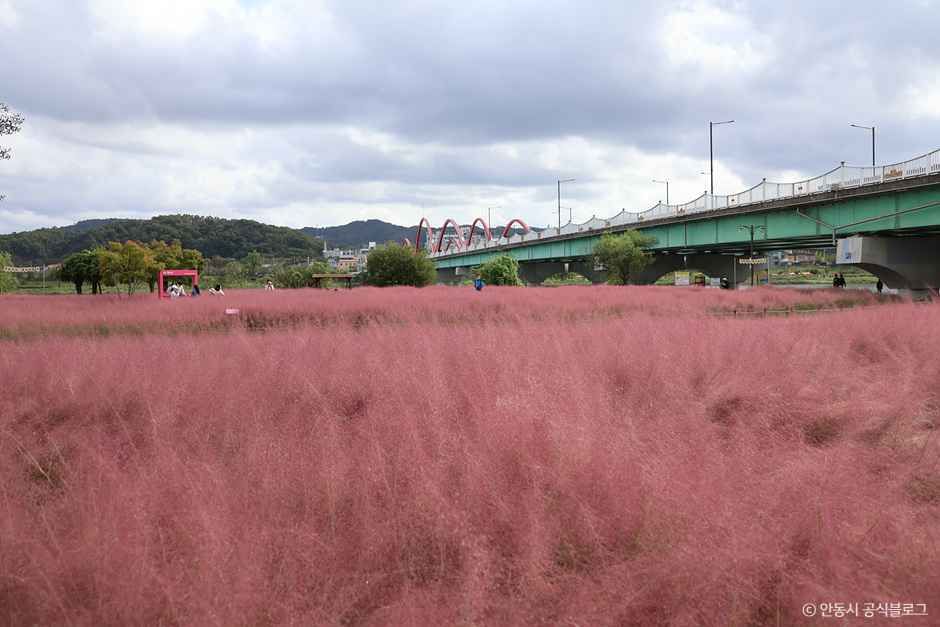 안동_그라스원 (2).jpg