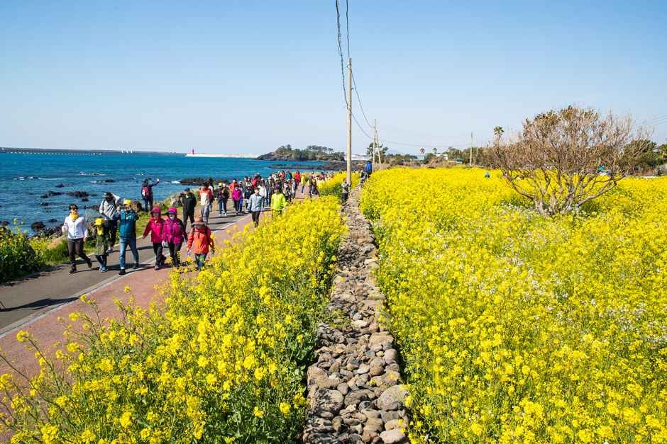 [事後免税店]アンニョン・ソンサン（城山）(안녕성산)