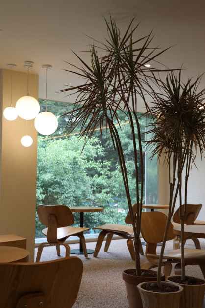 포레스트 서울숲