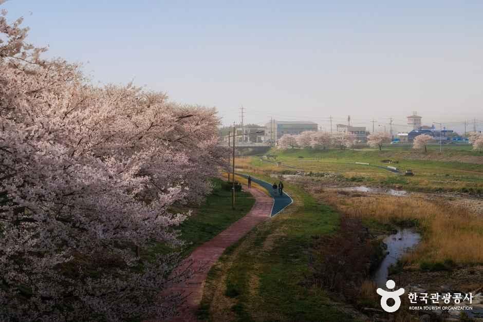 4059395 image2 1 예스키즈존 탐험대 : 실패 없는 육아여행