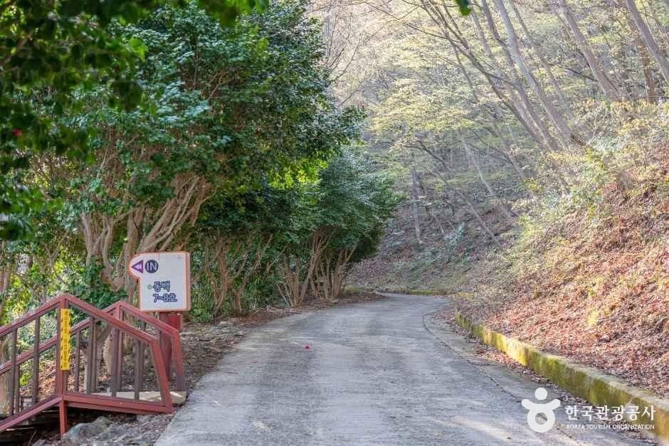 거제자연휴양림