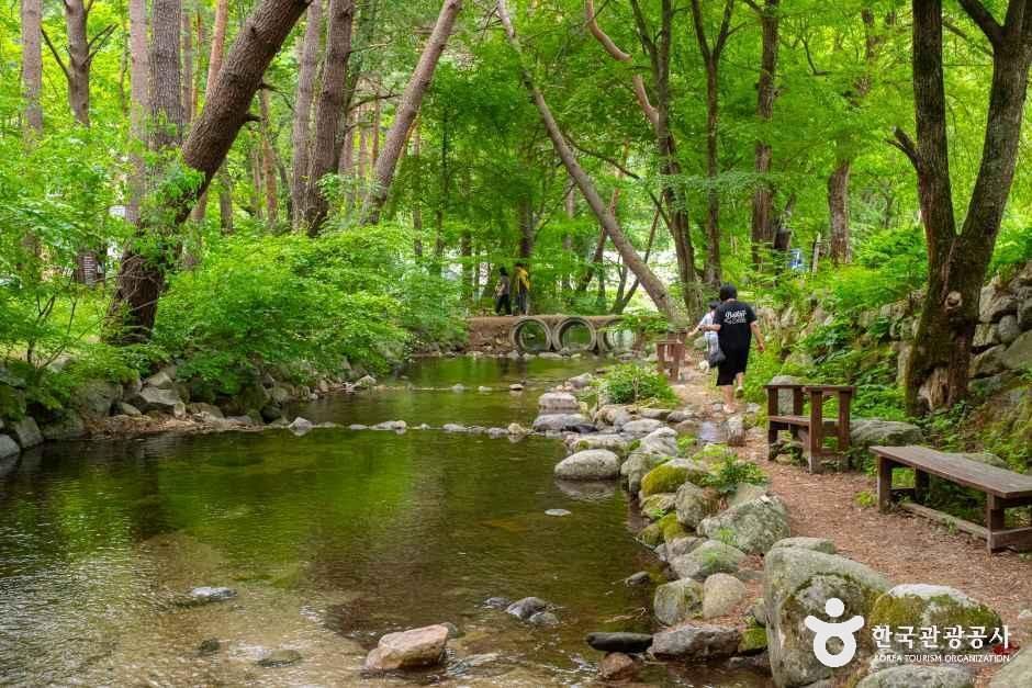 허브나라농원