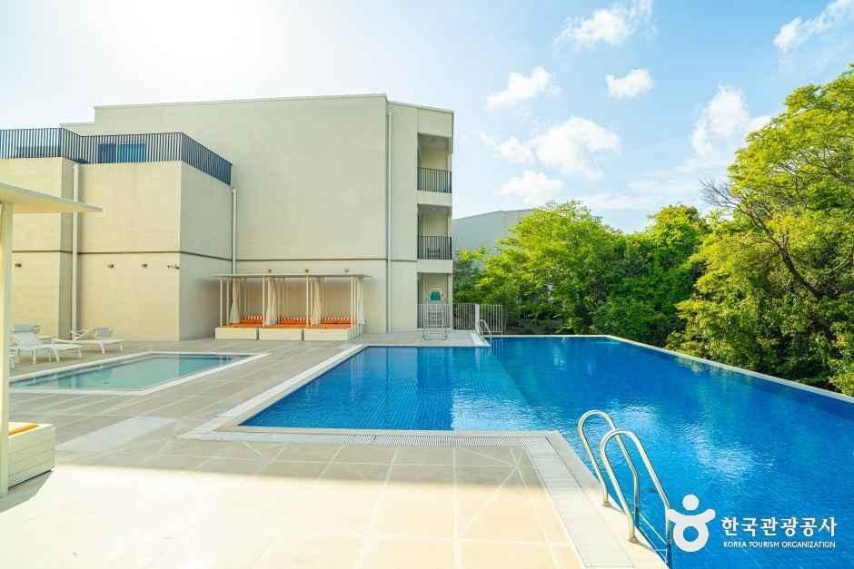 머큐어앰배서더 제주