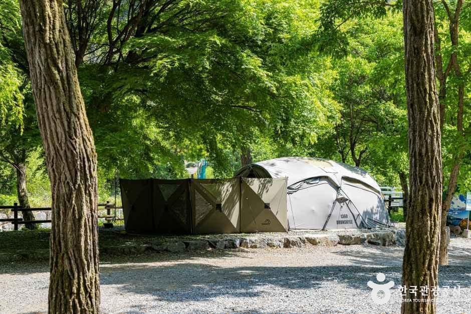 용두산오토캠핑장