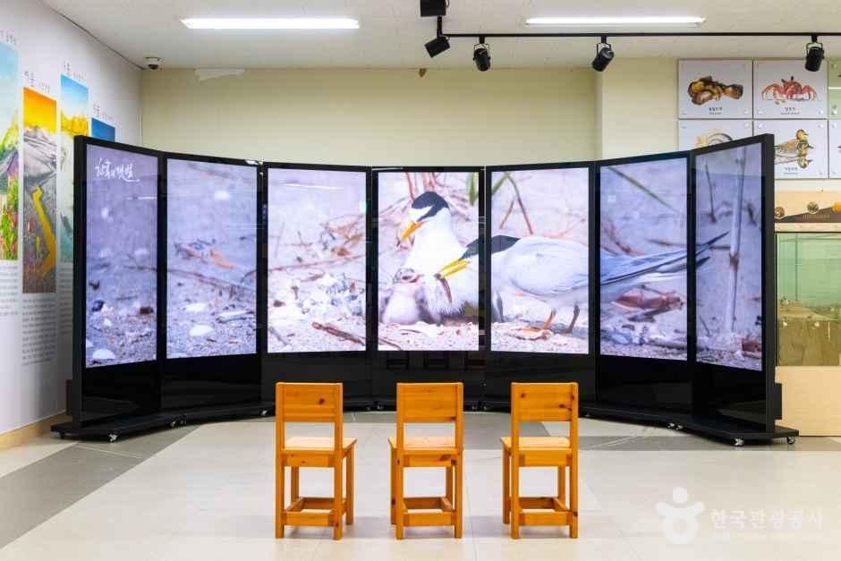 람사르고창갯벌센터