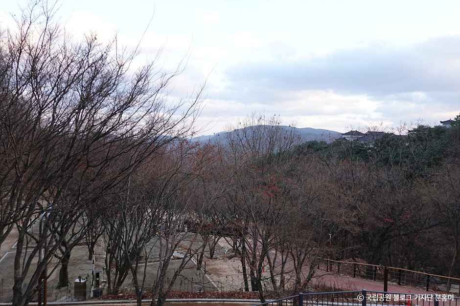 가야산국립공원 백운동 자동차야영장