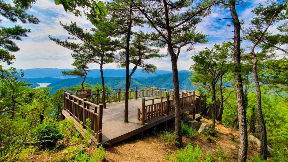 부산 치유의 숲