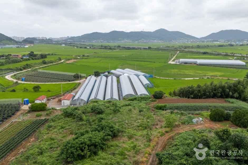품바발상지