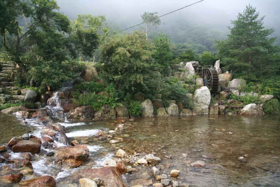 영주_주막거리캠프 (1).jpg