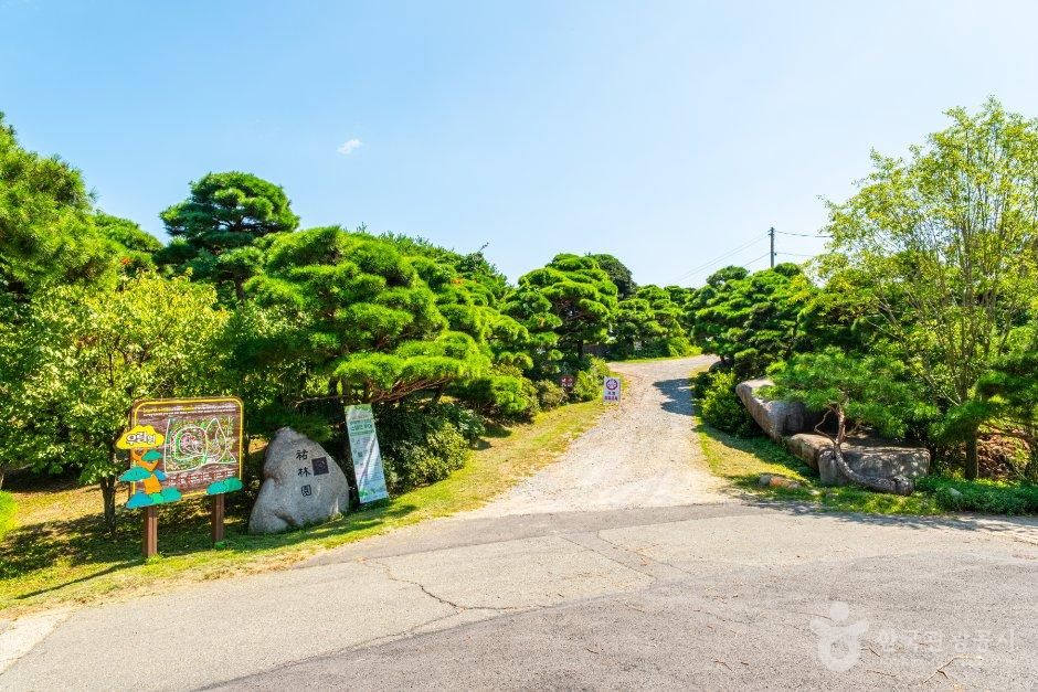 우림원 어드벤처골프&카페
