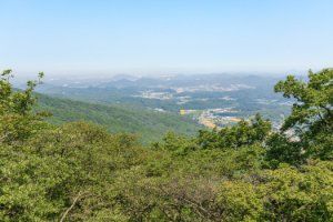 박달산(파주)
