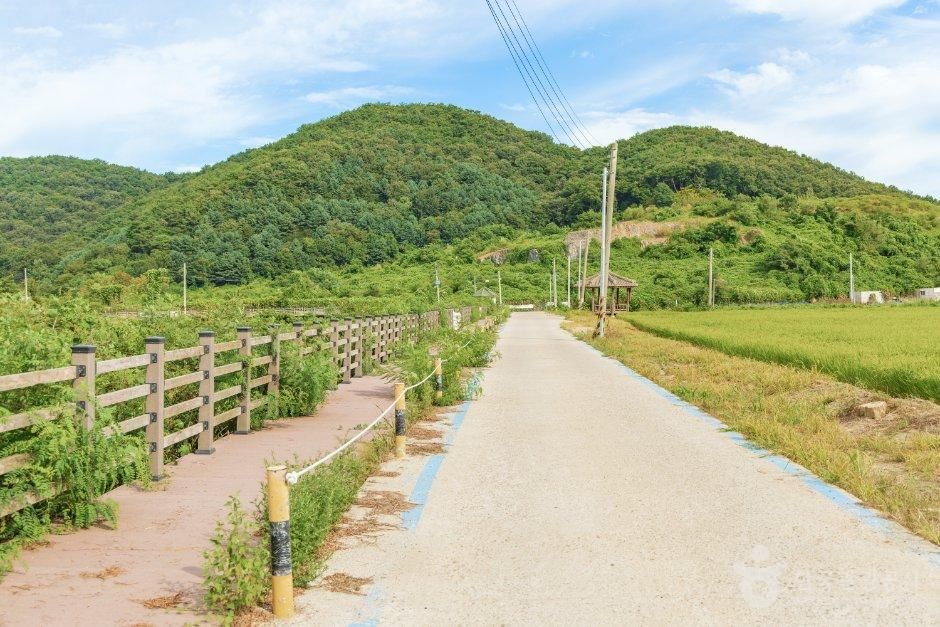 조강저수지