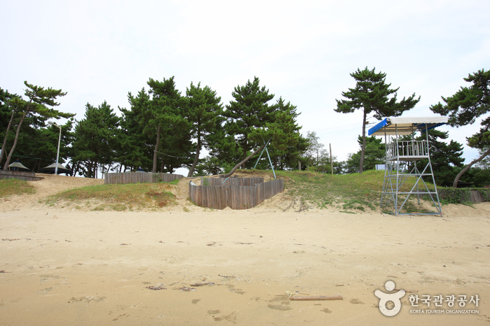 자은 백길해수욕장 자은 백길해수욕장