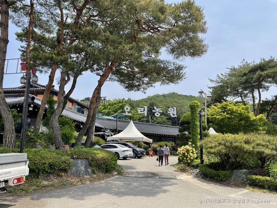 セマオリ農園