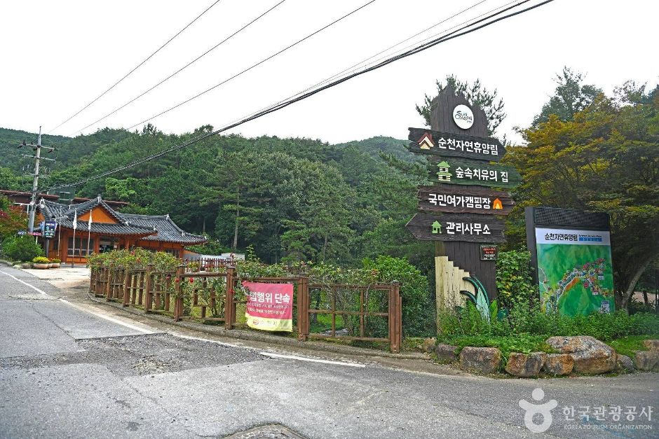 Suncheon Natural Recreational Forest