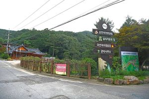 순천자연휴양림