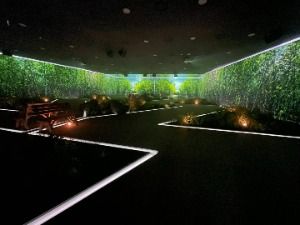 강릉 메타버스 체험관