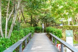 3568496 image3 1 예스키즈존 탐험대 : 실패 없는 육아여행