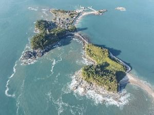 사도