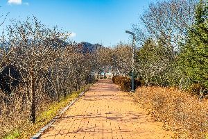 [효석문학100리길 5-1코스] 마을길따라 노산가는 길