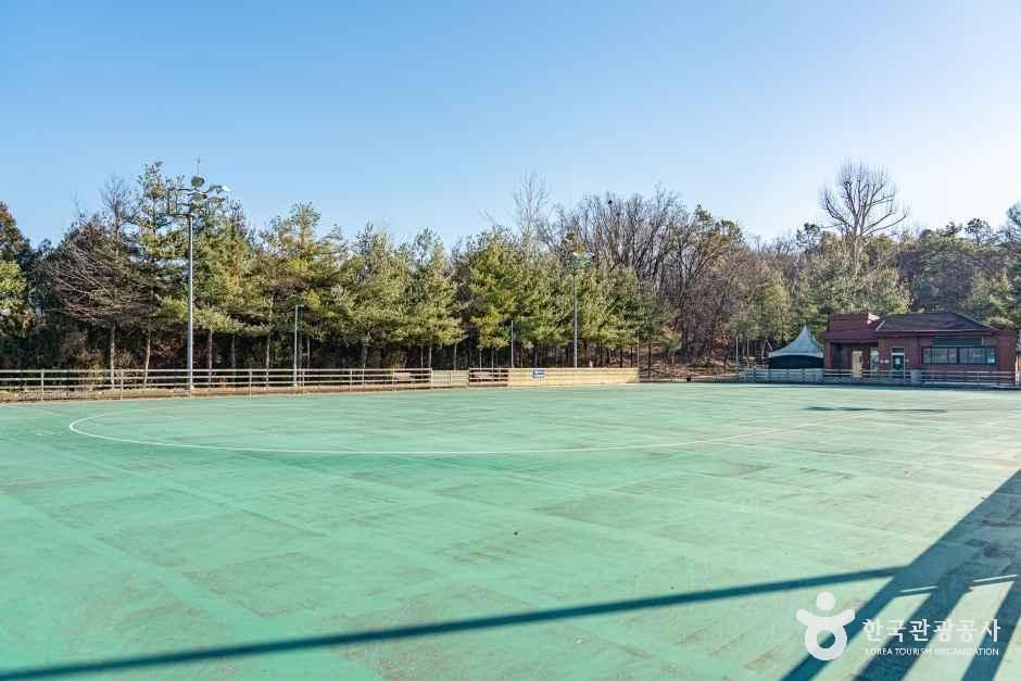 石水体育公園