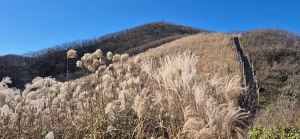 장안산군립공원